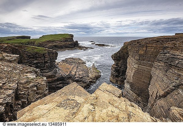 Cliffs of Yesnaby  Sandwick  Festland  Orkney-Inseln  Schottland  Großbritannien