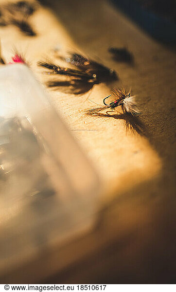 Close-up detailed photo of artificial flies for fly fishing