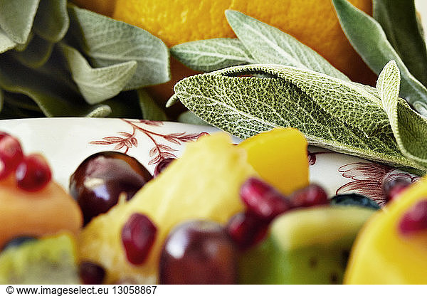 Close-up fruits in plate by leafy vegetables