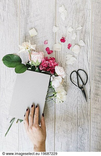 Close up Hand hält Buch mit Hortensien Rosen Blumen Schere Holzbrett