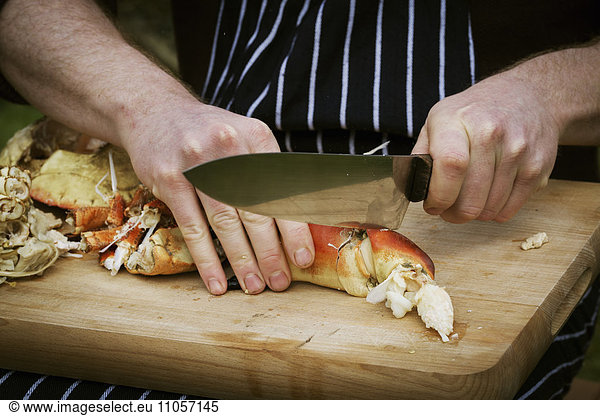Close up of a chef preparing a crab.