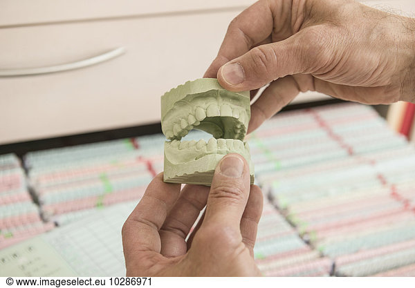 Close-up of a dentist's hands holding set of dentures  Munich  Bavaria  Germany