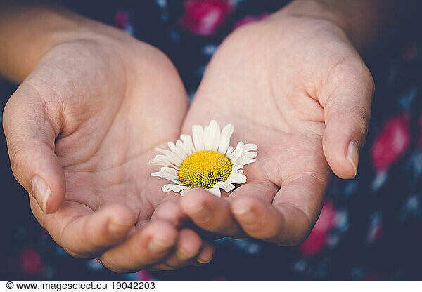 Close Up of a Girl Holding a Flower in Her Hands