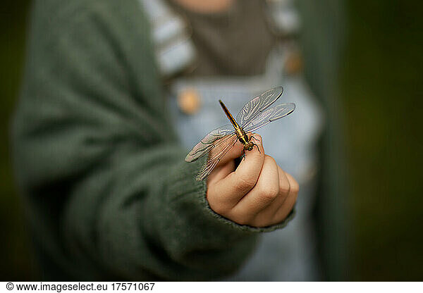 close up of a little boy holding a dragonfly