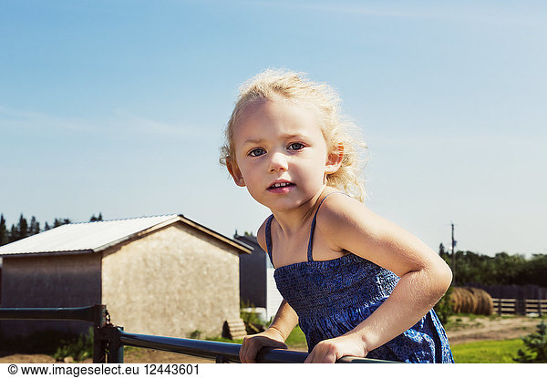 Close-up of a little girl with blond  curly hair standing on a metal fence on a farm and looking at the camera  Edmonton  Alberta  Canada