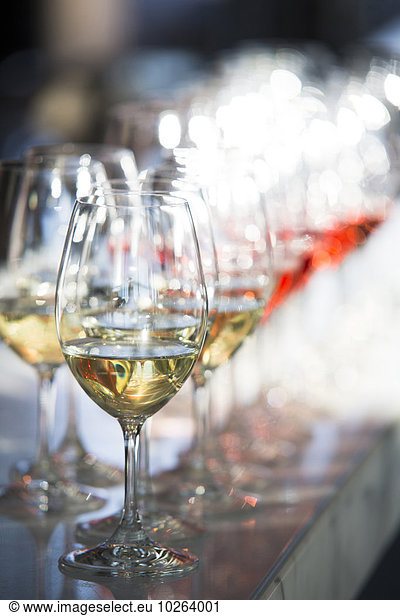 Close-up of a row of stemware  wine glasses with white and rose wine  at an event  Canada
