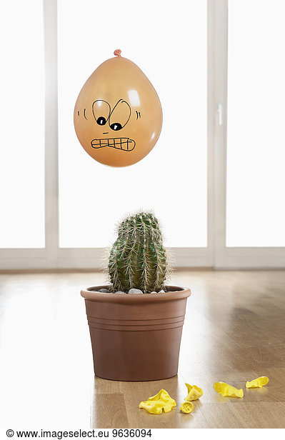 Close-up of a scared balloon above a cactus plant