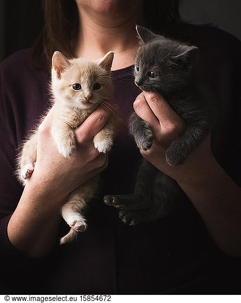 Close up of a woman holding a small adorable kitten in each hand.