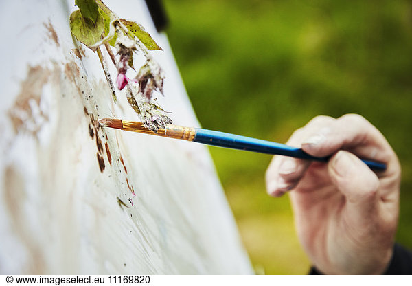Close up of an artist applying paint to paper with a brush  and a sprig of plant material over the artwork.