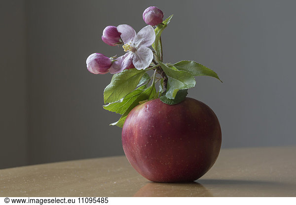 Close-up of apple with flower on table