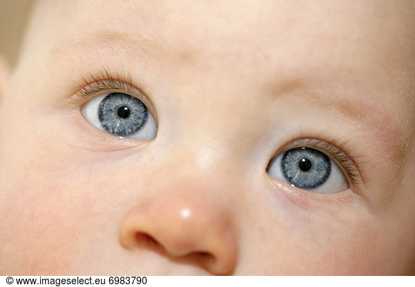 Close-up of Babys Eyes