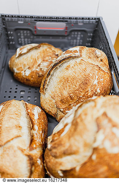 Close-up of baked bread in container