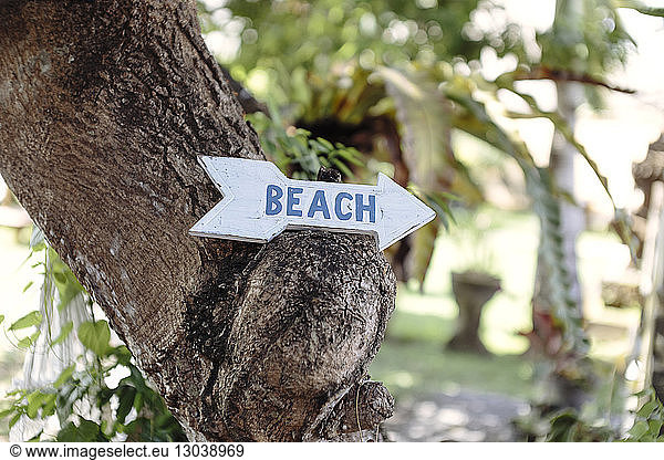 Close-up of beach text on wooden arrow