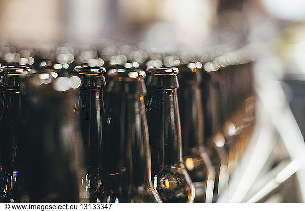 Close-up of beer bottles at brewery