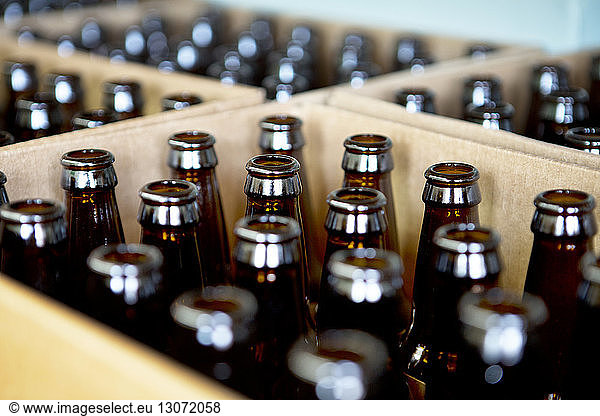 Close-up of beer bottles in box