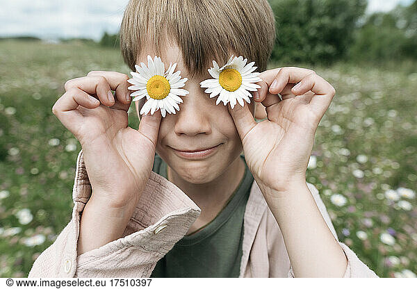 Close-up of boy hiding eyes with chamomile flowers