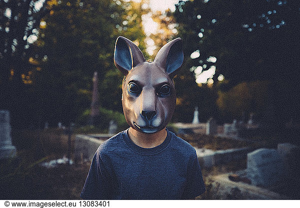 Close-up of boy wearing animal mask while standing at cemetery during Halloween