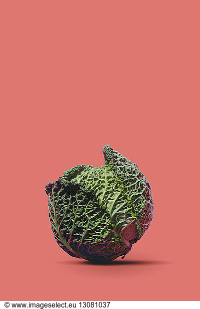 Close-up of cabbage over coral background