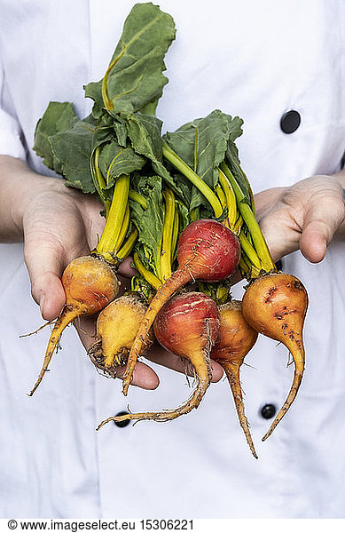 Close up of chef holding a bunch of colourful beets.