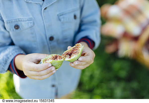 Close-up of child holding a fig outdoors