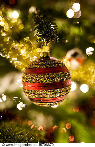 Close up of Christmas bauble on tree