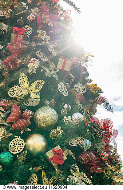 Close up of Christmas decoration on Christmas tree