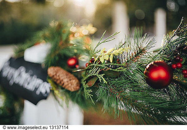 Close-up of Christmas decoration on plant