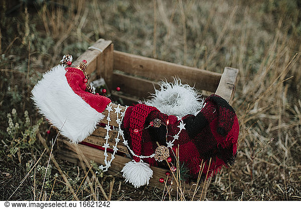 Close-up of Christmas decorations in crate on grassy land