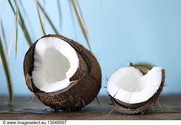 Close-up of coconut on wooden table against clear sky