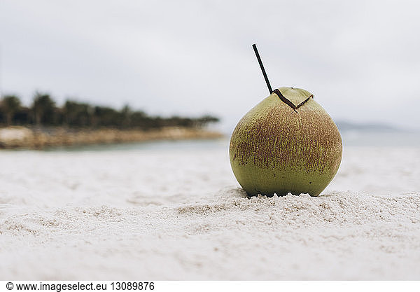 Close-up of coconut with drinking straw on sand at beach