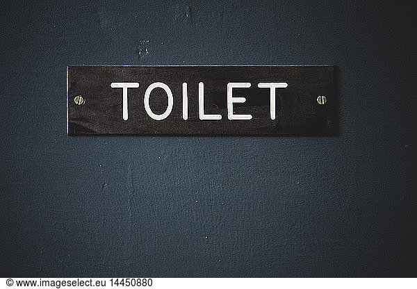 Close up of dark brown toilet sign with white lettering on blue door.