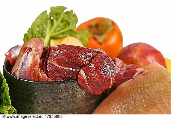 Close up of dog bowl with mixture of biologically appropriate raw food containing meat chunks  fish  fruits and vegetables isolated on white background