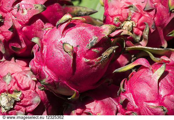 Close-up of Dragon fruit (pitaya) for sale at the Central Market Hall; Phnom Penh  Cambodia
