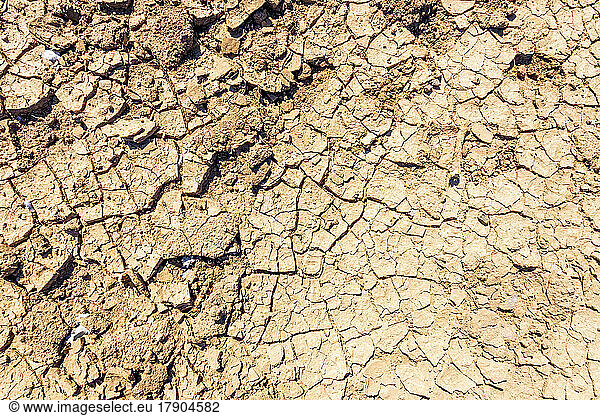 Close-up of dry barren soil