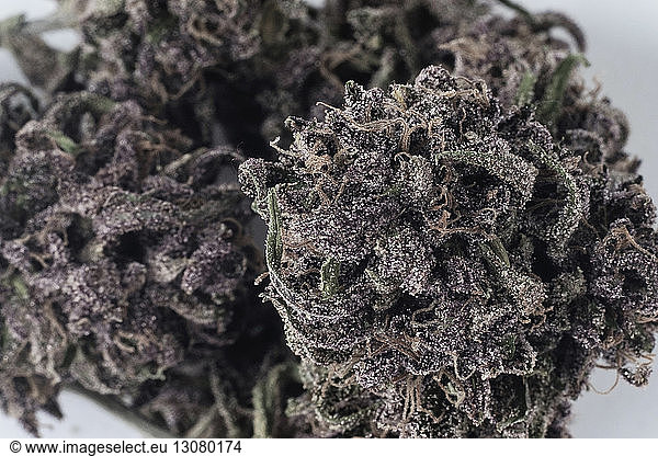 Close-up of dry marijuana