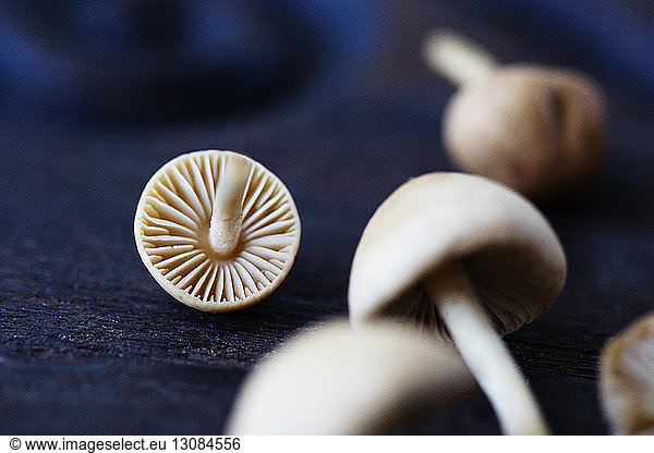 Close-up of edible mushrooms on wooden table
