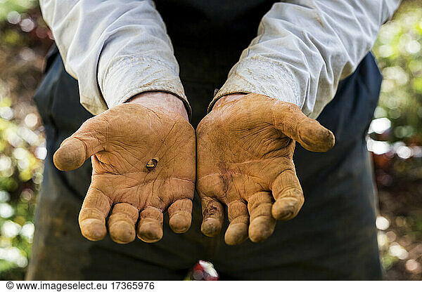 Close up of farmer's working hands covered in red soil.