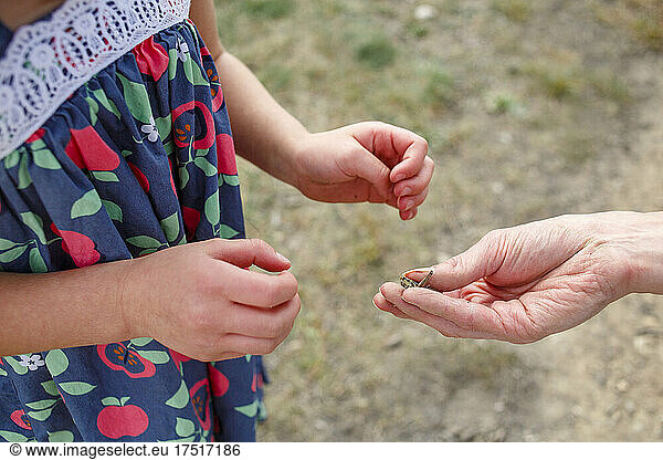 Close-up of father holding a grasshopper to show little girl