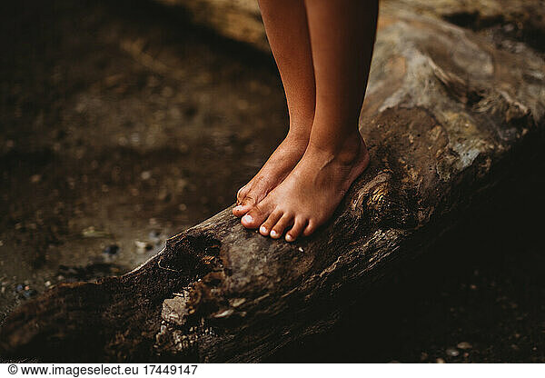 Close up of feet standing on log outside by the water in summer