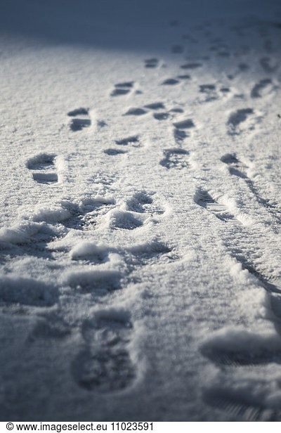 Close-up of footprints on snow