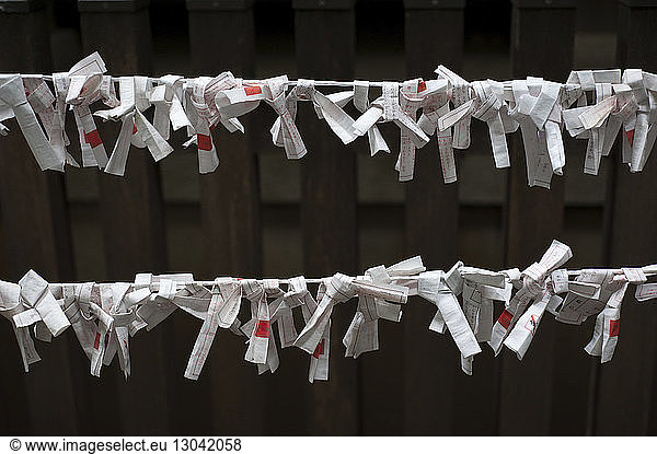 Close-up of fortune papers on rope at Hikawa shrine