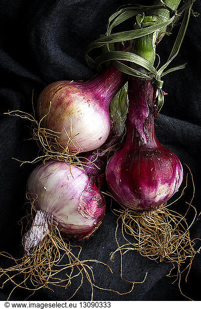 Close-up of fresh onions on black textile