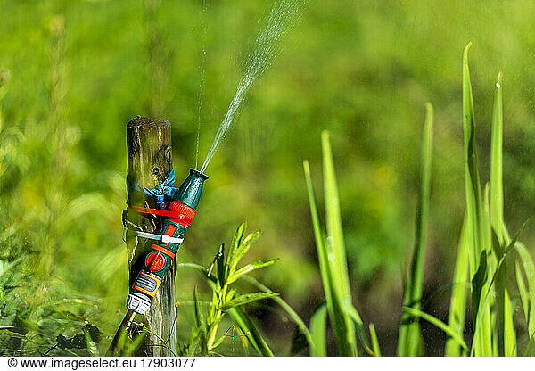 Close-up of garden hose spraying water