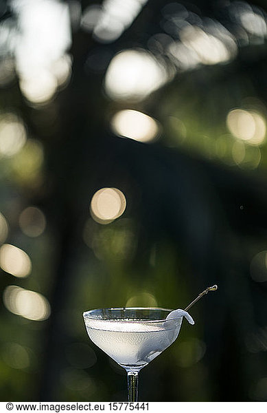 Close up of glass of coconut martini.