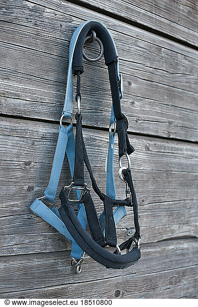 Close-up of horse harnesses hanging on wooden wall in barn  Bavaria  Germany