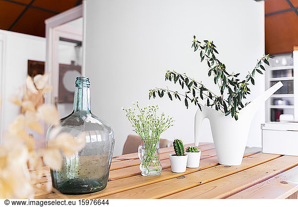 Close-up of houseplants on table against wall at home