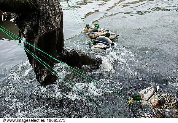 Close-up of hunter in waders pulling decoys to canoe in river.