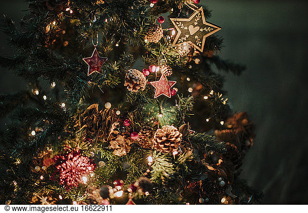 Close-up of illuminated Christmas tree at night