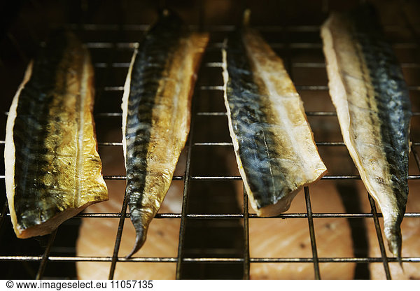 Close up of Mackerel fillets on a rack in a fish smoker.