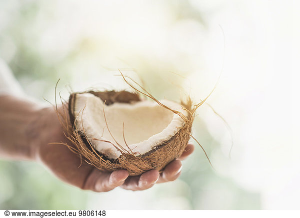 Close up of man's hand holding part of coconut